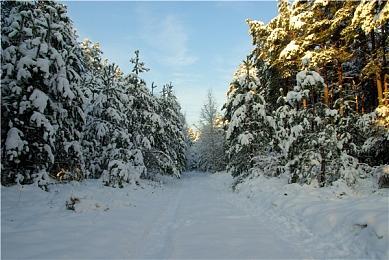 《大家一起来解谜》Steam页面上线 多人对应解谜新游